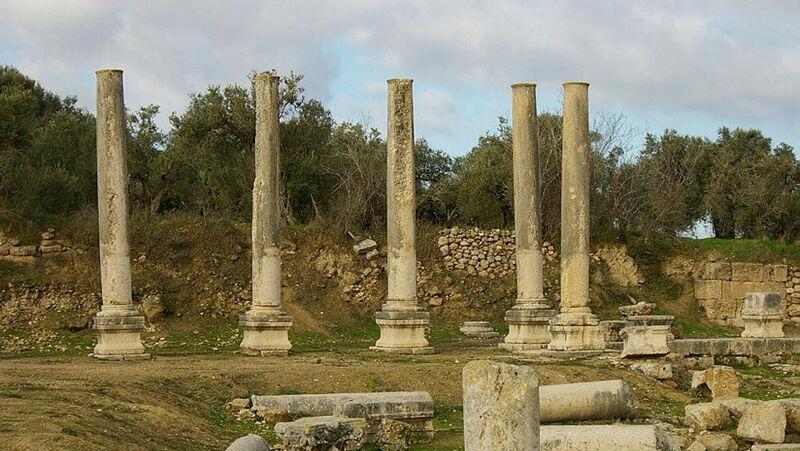 שרידי עמודי אבן ב גן לאומי סבסטיה