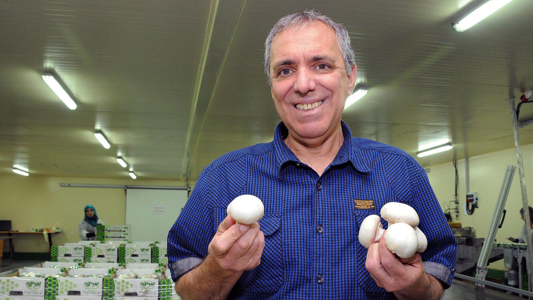 רמו בן שושן מנכ"ל ובעלי חברת מרינה פטריות