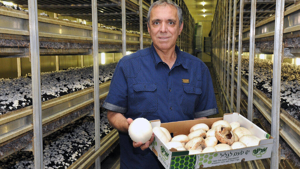 רמו בן שושן מנכ"ל ובעלי חברת מרינה פטריות