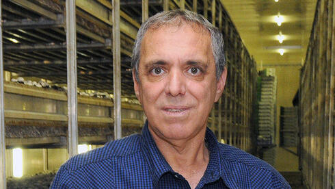 פטריות מרינה: אחרי הקפאת ההנפקה, הופסק המו”מ לעסקה גדולה בתחום הירק בארץ