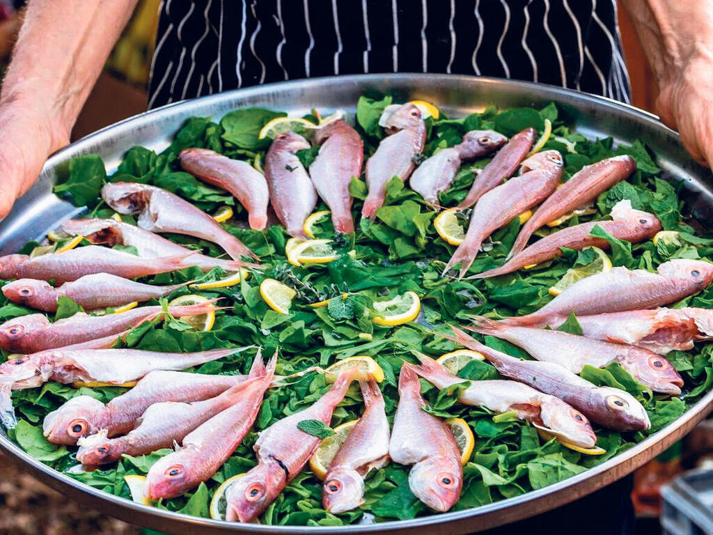 פנאי דגים במשתה של יקב עגור ו חוות הצוק