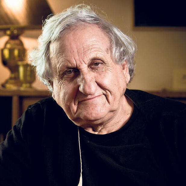 הסופר א.ב יהושע פנאי