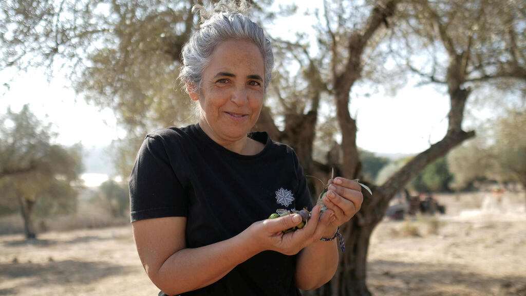 איילה נוי מאיר בכרם הזיתים של ריש לקיש בית הבד בציפורי פנאי