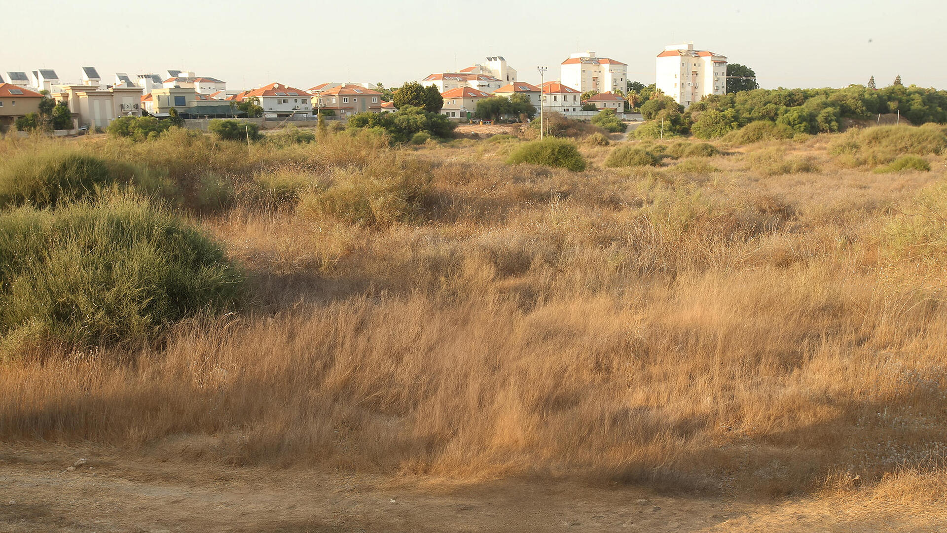 איזור מיועד לבנייה צמוד לעיר אור עקיבא
