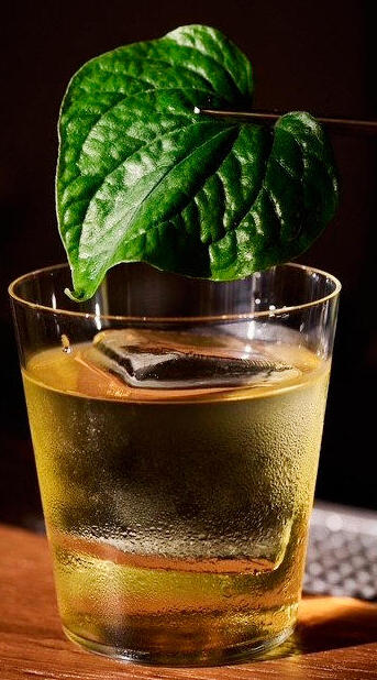 קוקטייל של מולאם פנאי מולאם בר קוקטיילים