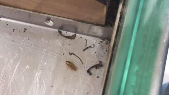 סניף רמי לוי חיפה נסגר ע"י משרד הבריאות