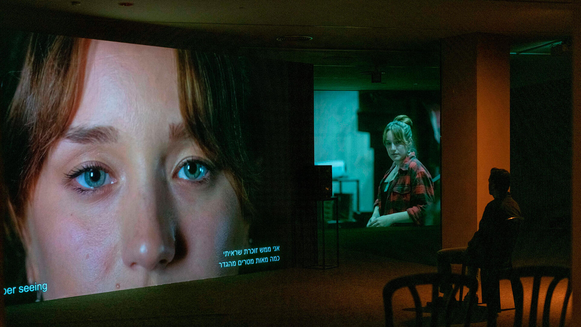 פנאי משל החמ"ל שמציגה הבמאית טליה לביא במוזיאון תל אביב