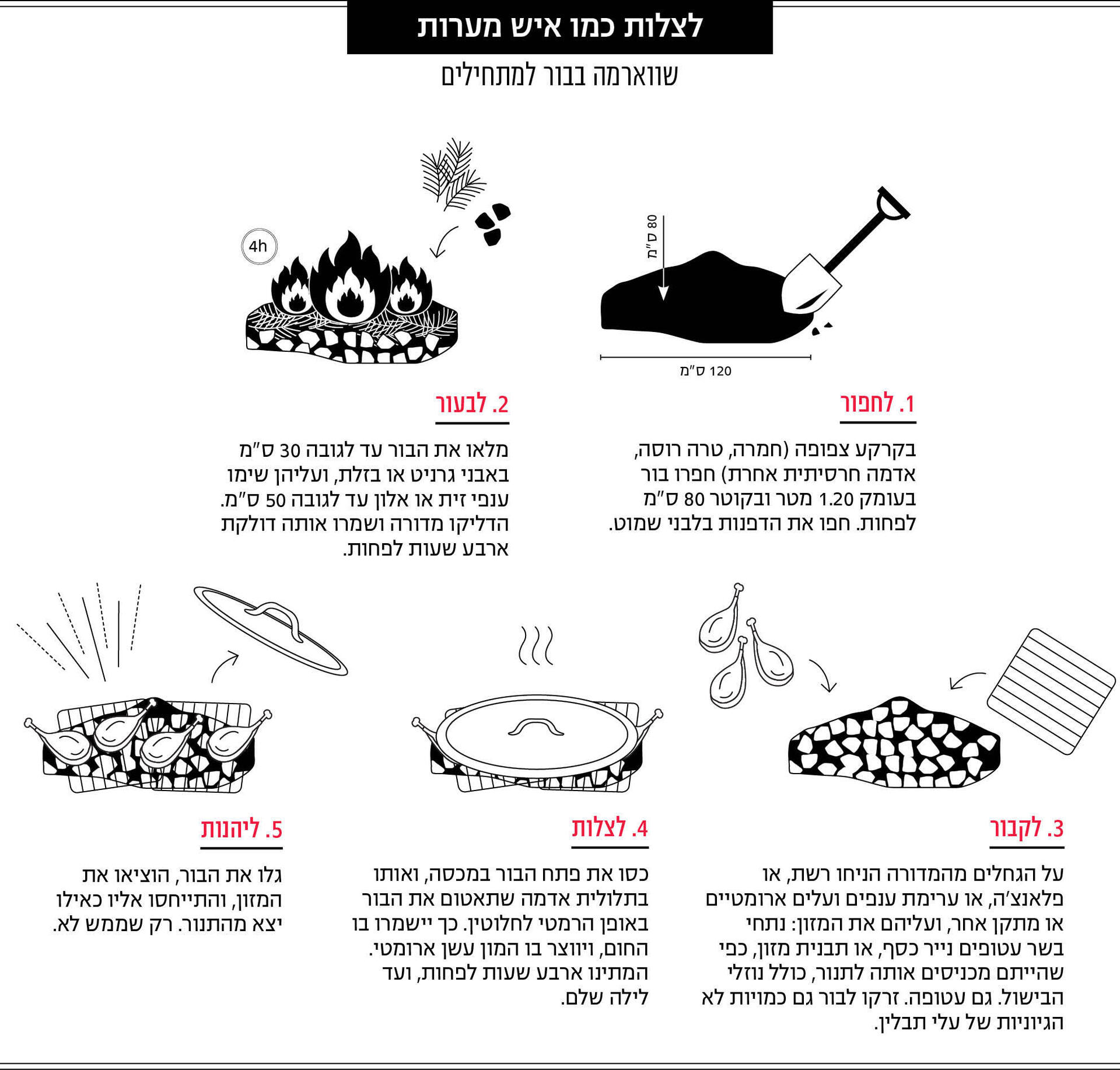 אינפו מדור אוכל מוסף 20.11.25