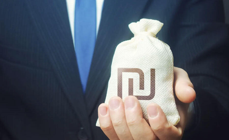 אילוסטרציה (צילום: שאטרסטוק) אילוסטרציה שק כסף