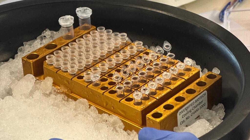 Cassidy Bio (צילום: : יניב שמואלי) Cassidy Bio