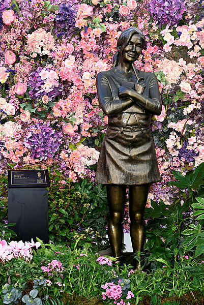 צילום: Gareth Cattermole  / Getty Images Europe