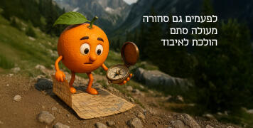 כלכלת המזון 