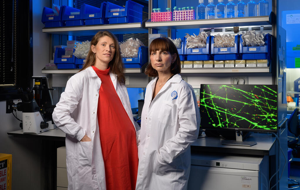 לייפנפלד (מימין) וכהן־סולל במשרדי NeuroKaire בתל אביב. "יכולנו לשבת כמו כל הסטארט־אפים באחד ממגדלי ההייטק, אבל חשוב לנו לא להוציא כסף על מה שלא חובה" לייפנפלד )מימין( וכהן־סולל במשרדי NeuroKairs בתל אביב. "יכולנו לשבת כמו כל הסטארט־ אפים באחד ממגדלי ההייטק, אבל חשוב לנו לא להוציא כסף על מה שלא חובה"