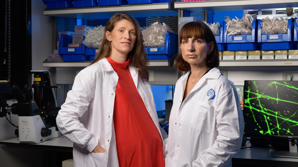 The women turning a blood sample into a map of the depressed brain
