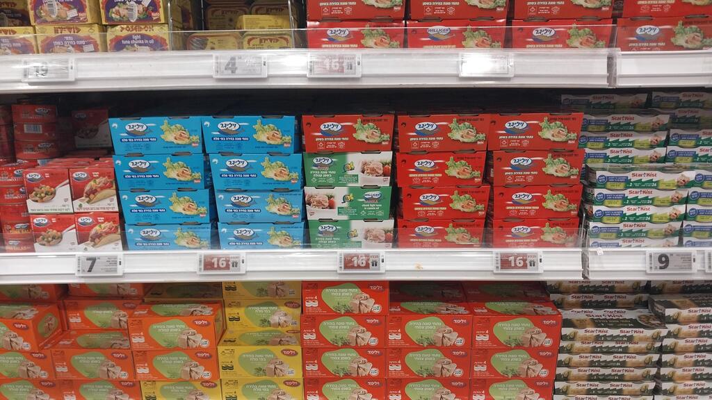 טונה ויליפוד ויליגר