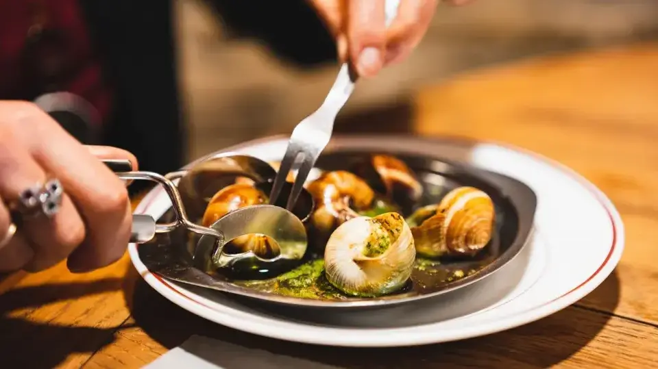 חלזונות למאכל (צילום: Getty Images) חלזונות מאכל Snails