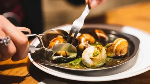 שוד האסקרגו הגדול: חלזונות בשווי 104 אלף דולר נגנבו מחווה בצרפת