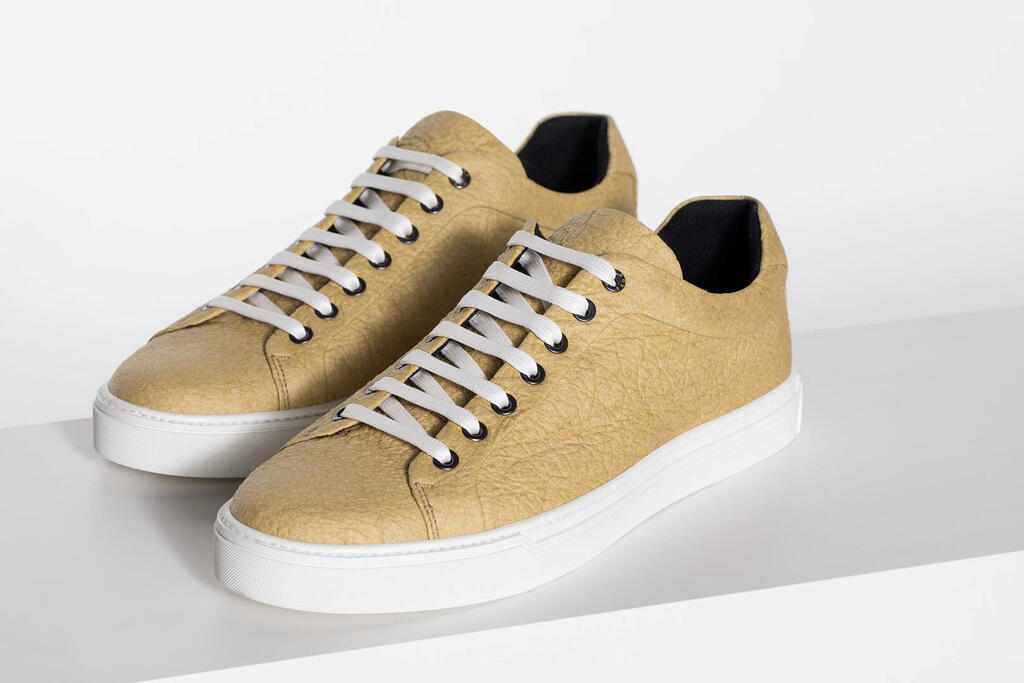 נעליים של הוגו בוס מהתחליף הביולוגי פינטקס. הצבעים דהו נעליים של הוגו בוס מהתחליף הביולוגי פינטקס פנאי