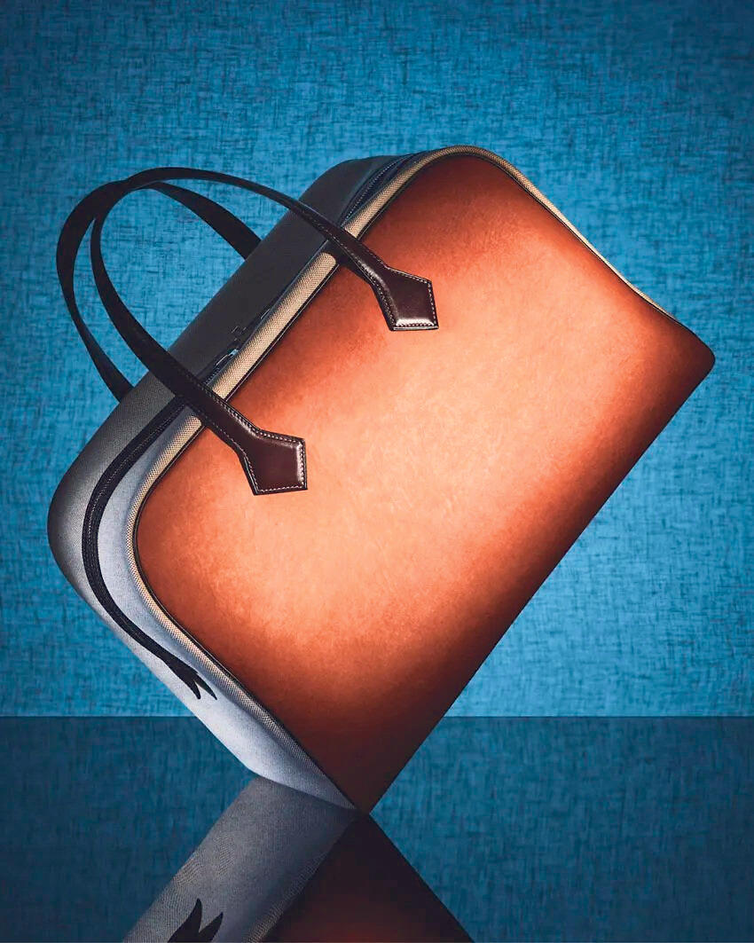 התיק של הרמס ומייקו וורקס מחומרים ביולוגים. המפעל נסגר תיק של הרמס ומייקו וורקס מחומרים ביולוגים פנאי