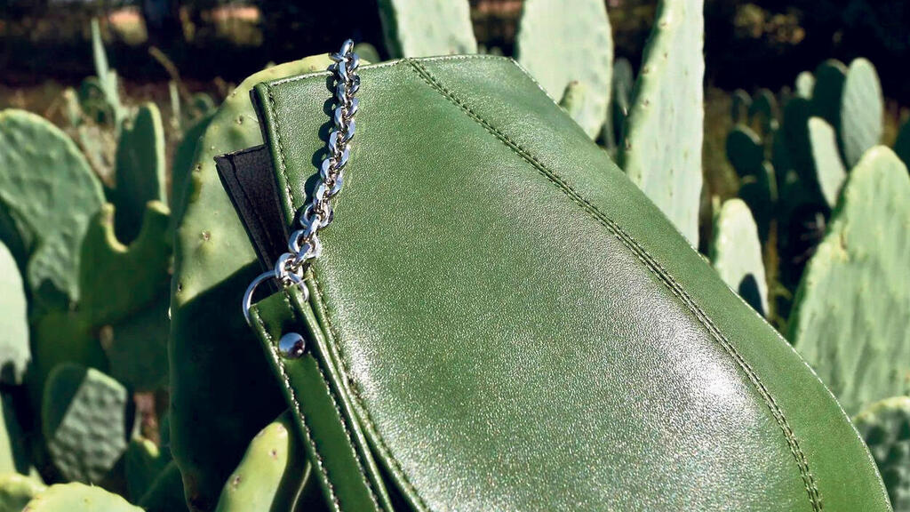 תחליף לעור מקקטוסים של דזרטו. החברה בקשיים תיק תחליף לעור מקקטוסים של דזרטו פנאי