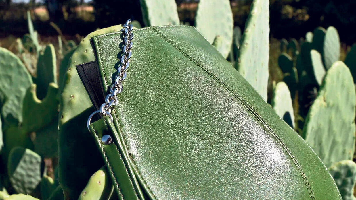 תיק תחליף לעור מקקטוסים של דזרטו פנאי