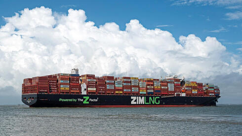 רשות הספנות על רכישת צים: "איום קיומי על החברה החדשה - ישראל עלולה לאבד עצמאות ימית"