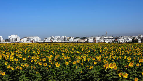 הרחבה ענקית לגדרה: 8,000 דירות על חשבון שטחי חקלאות