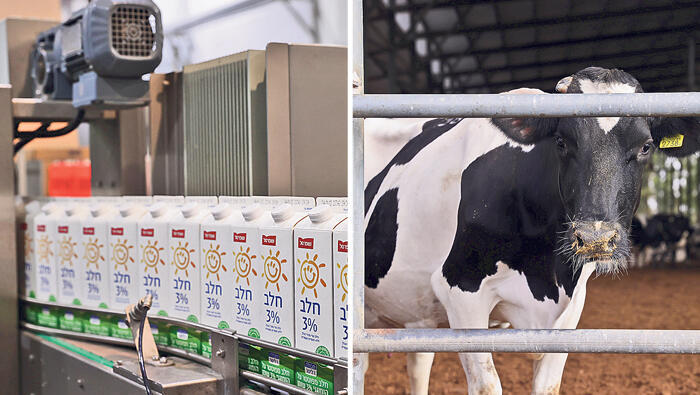 צילומים: אוראל כהן האם הצרכנים ייהנו מהוזלה במוצרי החלב בזכות הרפורמה?