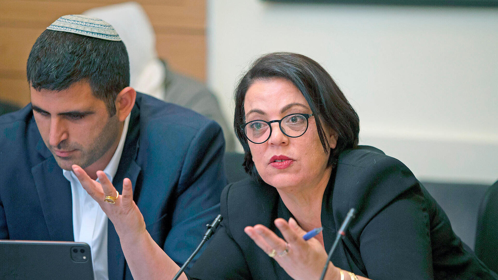  גלית דיסטל אטבריאן חברת כנסת מטעם ה ליכוד בועדת הכנסת