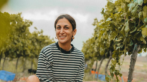 צילום: מריה בורנשטיין שורשים בהולנד וענבים מהגליל: יקב מקומי חדש שהוא תגלית נהדרת