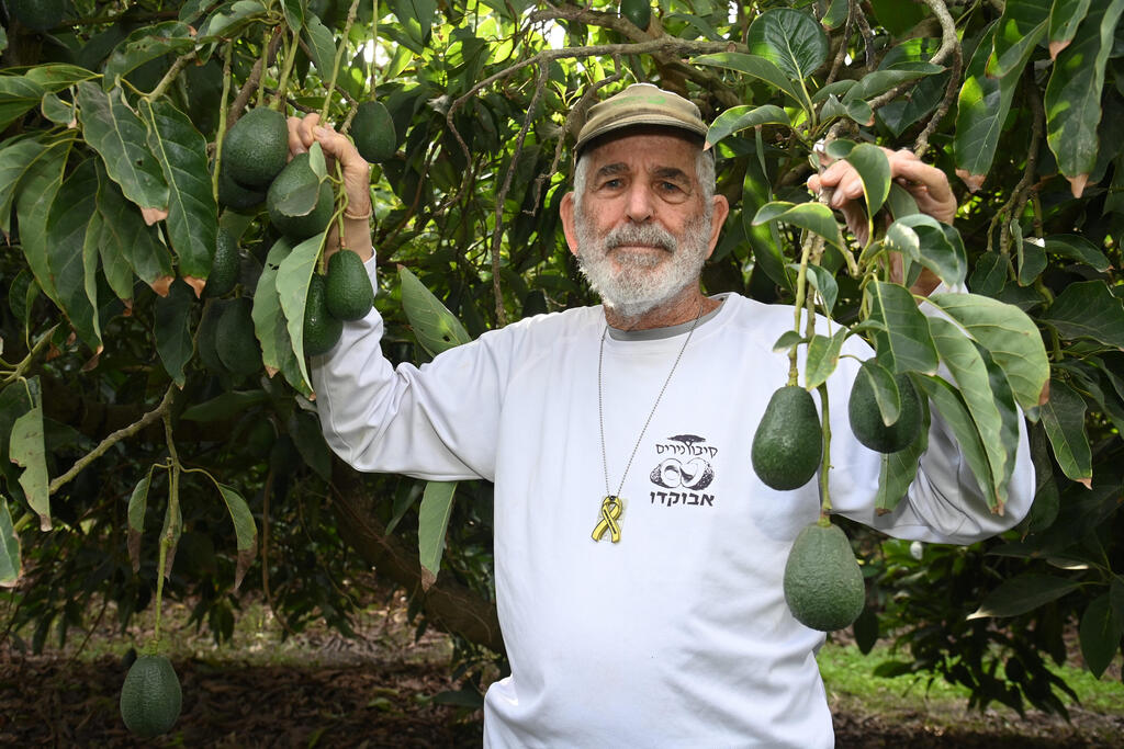 נמרוד חפץ במטע של נירים. "את המבנים שנפגעו ב־7 באוקטובר הקיבוץ הרס, גרס, והפך לשבילים במטע"