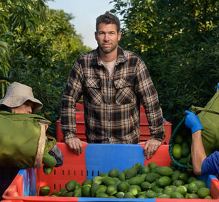 אייל שליין ופועלים במטע של להבות חביבה, השבוע. "אני בחקלאות מתוך אג'נדה, ואבוקדו זה הטופ של החקלאות, הענף הכי מתקדם, ההייטק של התחום"