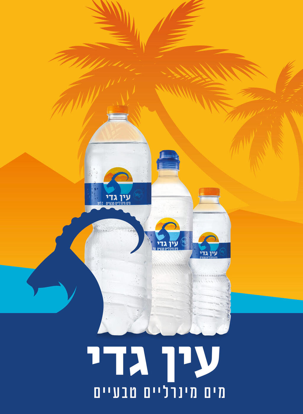 האסטרטגיה של עין גדי, שפה חזותית חדשה והרחבת פורטפוליו המוצרים 
