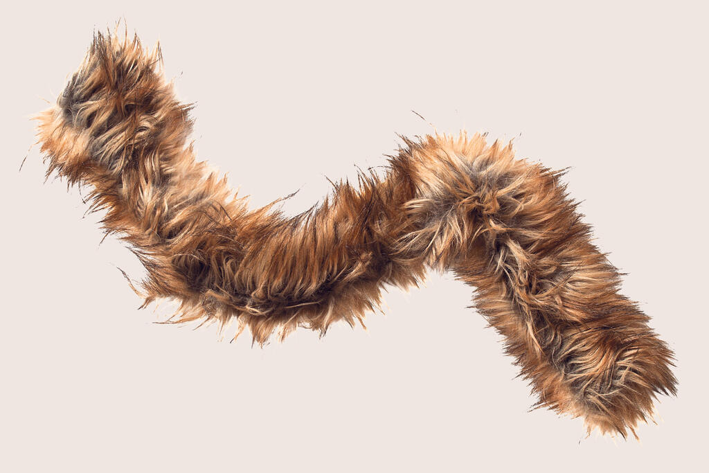 מוסף מנהלים 2025 - צעיף פרווה