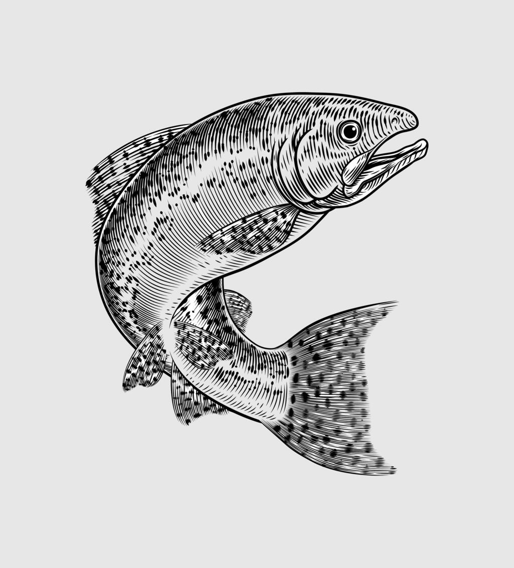 מוסף מנהלים 2025 - איור סלמון דג