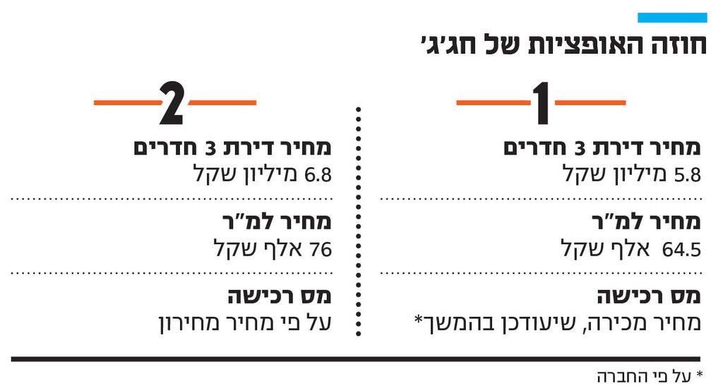 אינפו חוזה האופציות של חג'ג'