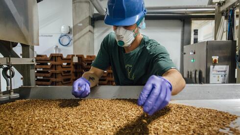 משווי של 600 מיליון דולר לפשיטת רגל: ההתרסקות של הסטארט-אפ הצרפתי שחלם לייצר מזון מחרקים