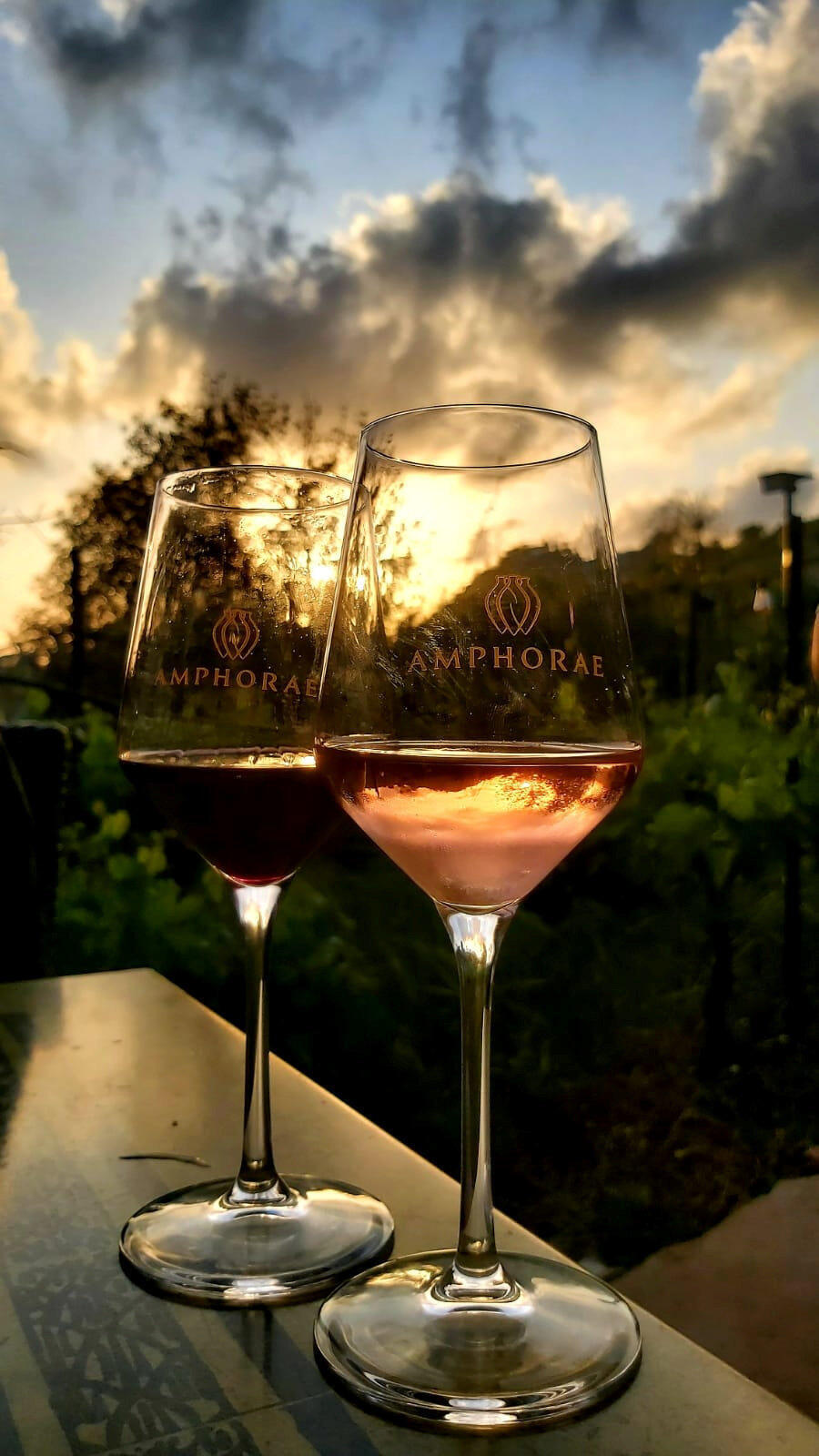 יקב אמפורה (צילום: שני בריל) פנאי יקב אמפורה