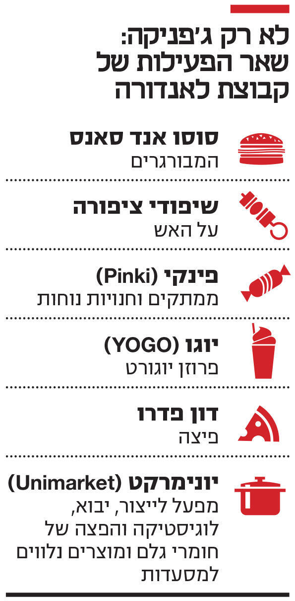 אינפו לא רק ג'פניקה : שאר הפעילות של קבוצת לאנדורה