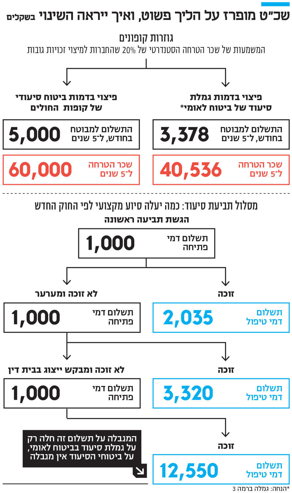 אינפו שכ"ט מופרז על הליך פשוט, ואיך ייראה השינוי