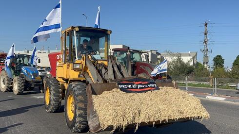 המאבק על הרפורמות: הכנסת התבקשה לשמור על החוק, הקואליציה צפויה לרמוס אותו