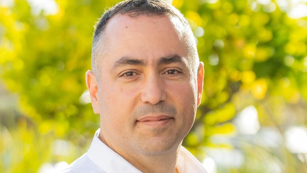 זיו וולפוביץ'