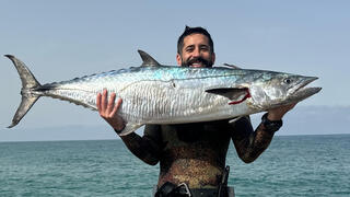 אלון סגל סדנאות והרצאות על דגים פנאי