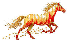 קומפוננטה NEXT FINANCE קומפוננטה NEXT FINANCE