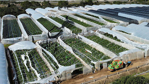 שיא של עשור בפיצויים לחקלאים על נזקי מזג האוויר: 450 מיליון שקל ב-2025