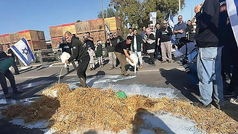 מהלכיו של סמוטריץ' נגד הרפתנים נבלמים אצל חברי הקואליציה