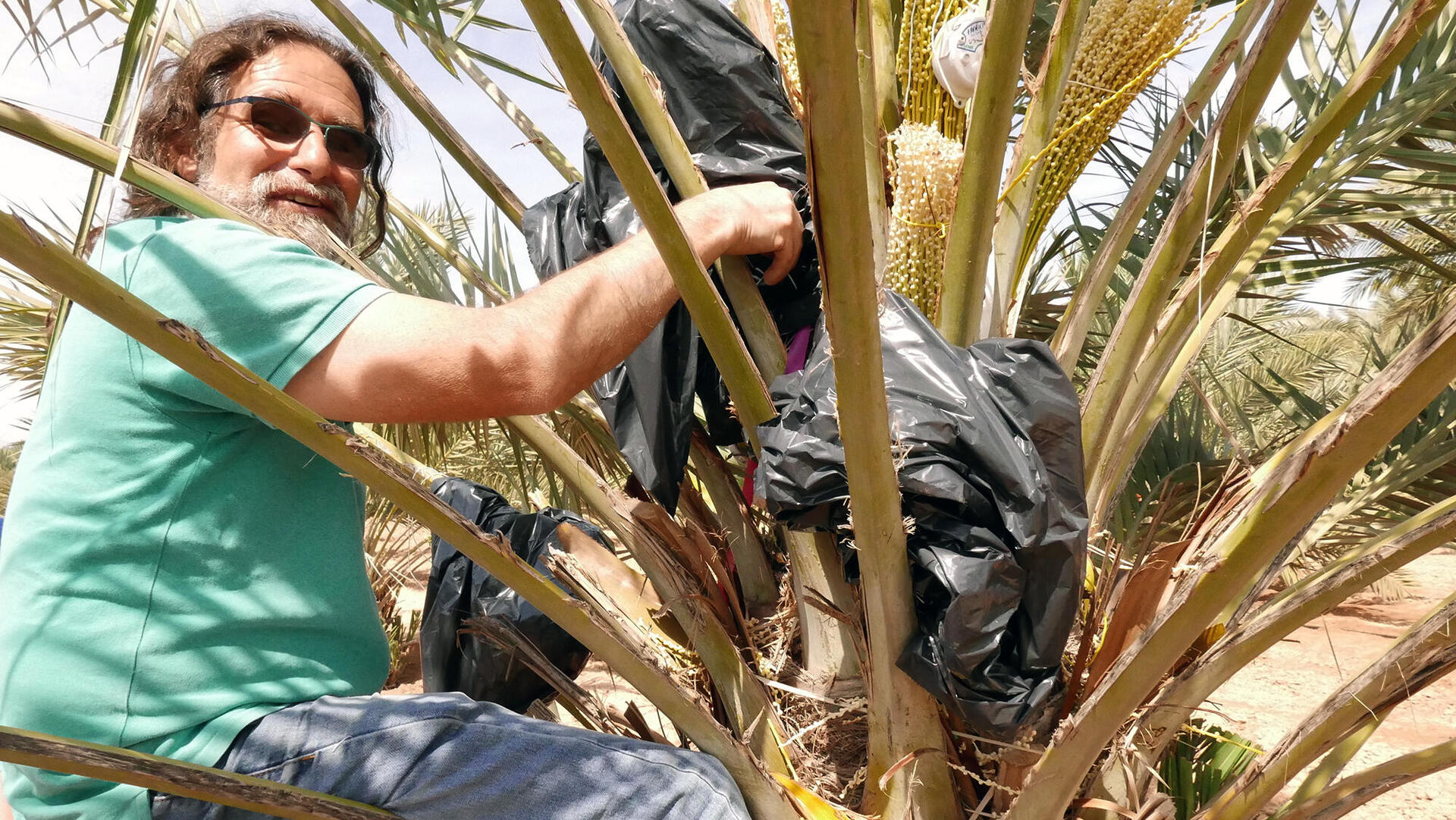 ד"ר יובל כהן מכון וולקני פנאי