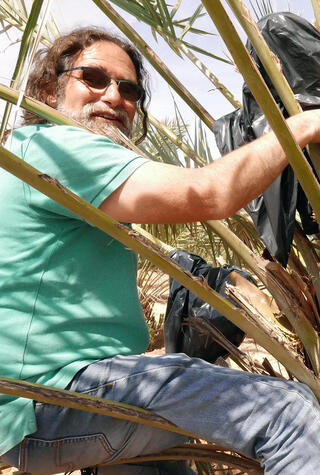 ד"ר יובל כהן מכון וולקני פנאי