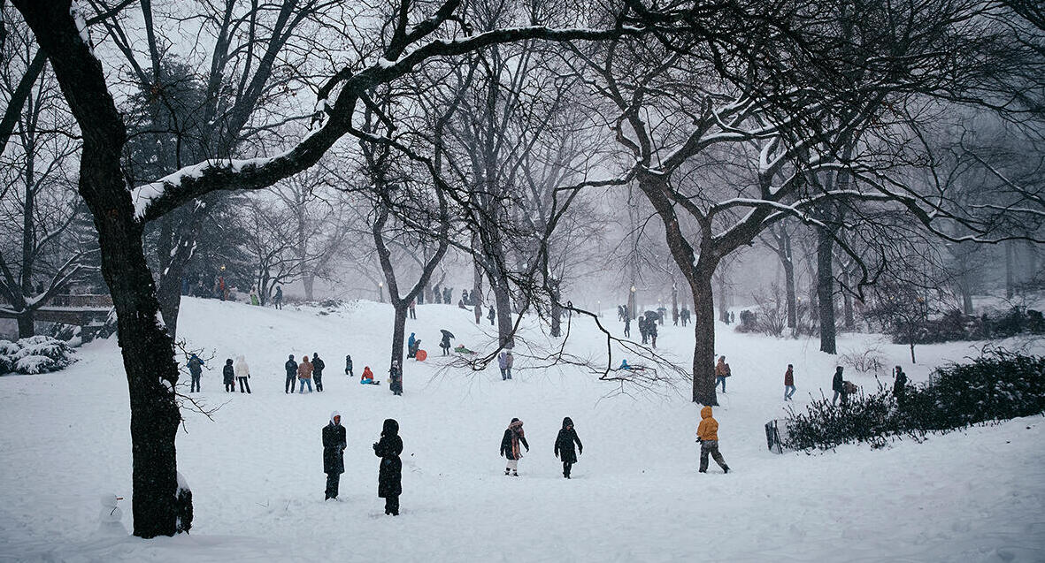 פוטו סופת שלג ארה"ב סנטרל פארק 