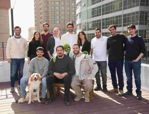 Chamelio team. Chamelio team.